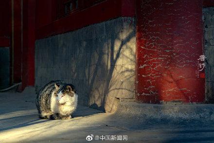 #光明网#故宫原来可以这么美！他花6年时间拍3万张照片记录故宫