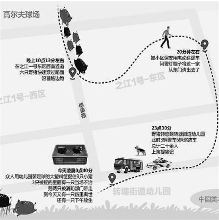 「环球网」6只野猪夜闯高档小区 网友打趣：这是来挑别墅的吧
