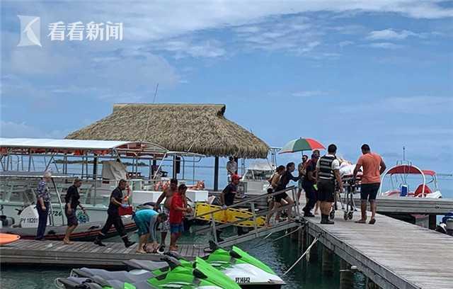 「看看新闻」法女子赏鲸之旅却惨遭鲨鱼攻击 双手左胸被咬下