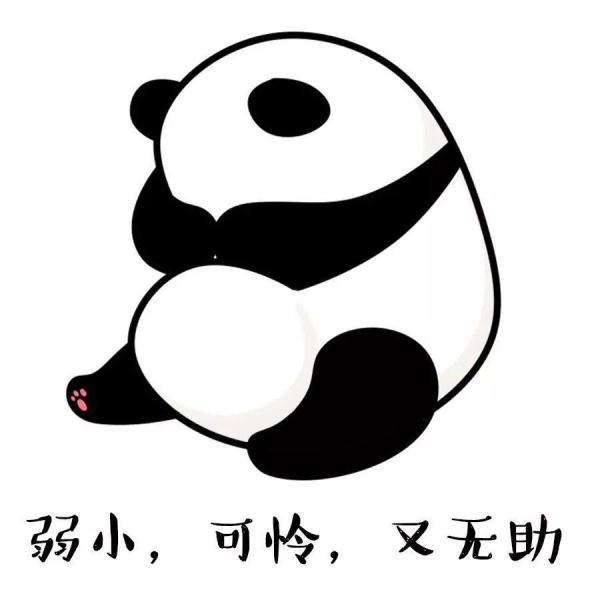 「光明网」国际熊猫日：何以解忧？唯有滚滚表情包