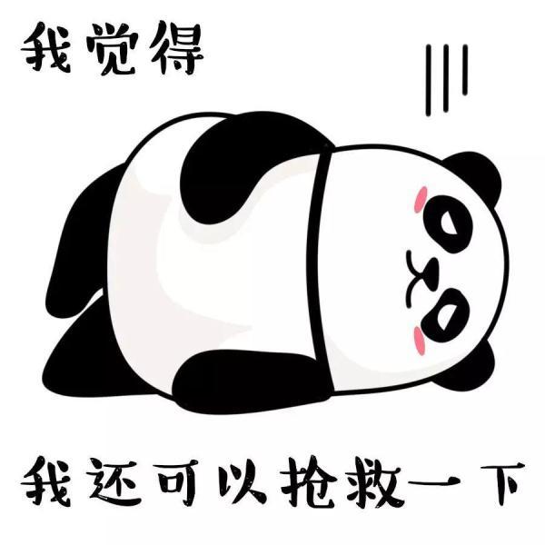 「光明网」国际熊猫日：何以解忧？唯有滚滚表情包