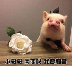 「北青网」验证网恋女友是否漂亮，这位男生连外卖小哥都用上了