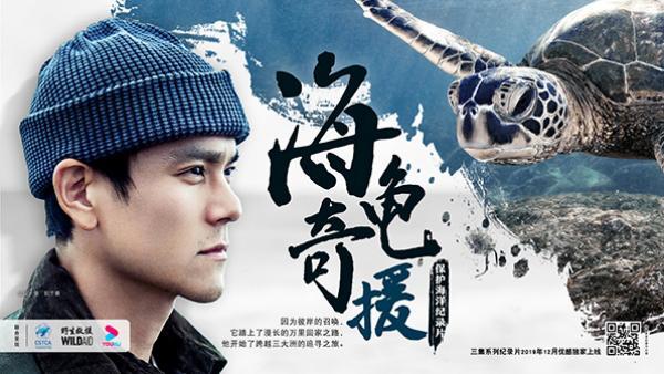 澎湃新闻■纪录片《海龟奇“援”》发布，公益大使彭于晏吁拒买海龟制品