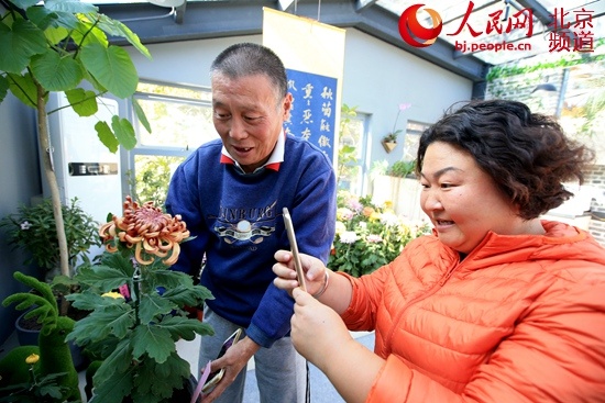 #人民网-北京频道#深秋胡同飘香 东四胡同菊花节开幕