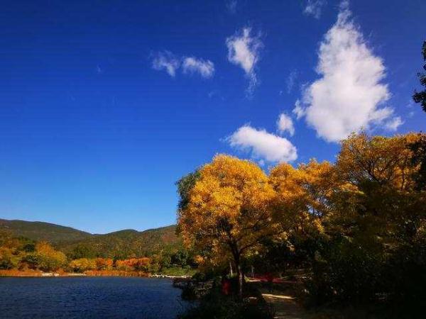【光明网】北京最新天气预报：风停天晴今夜寒意浓，未来几日空气质量优良