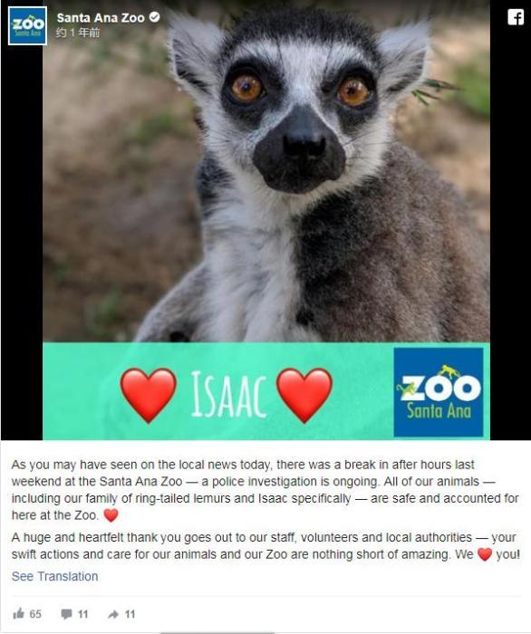 中国新闻网@闯动物园偷濒危狐猴 美一男子被判入狱3个月(图)