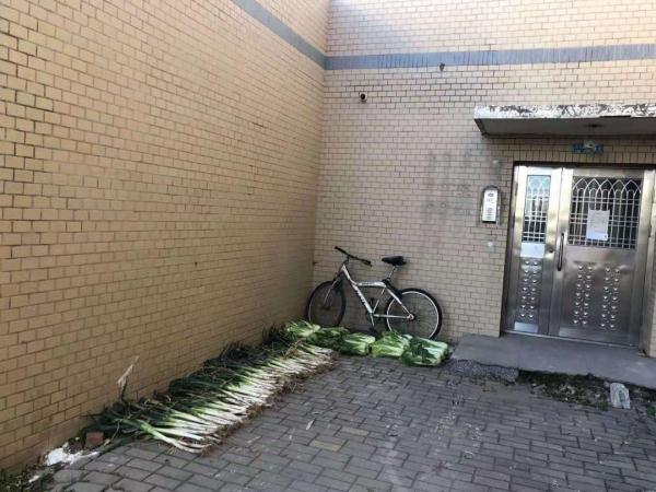 「光明网」在东北，没有一颗大白菜能活着过冬