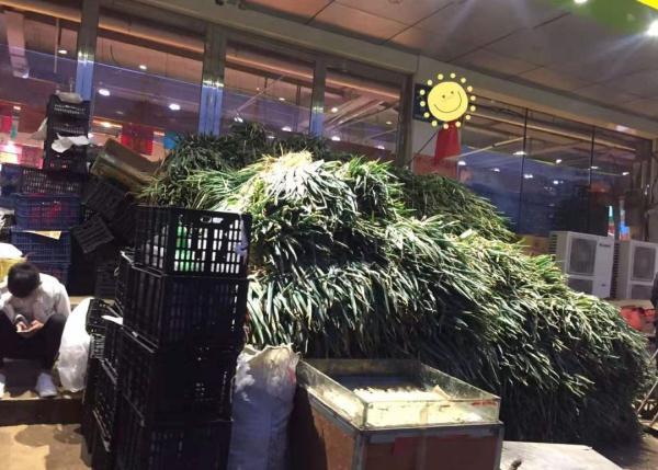 「光明网」在东北，没有一颗大白菜能活着过冬