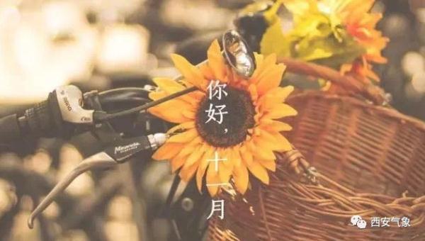 光明网@小雨来气温降 添衣保暖莫感冒