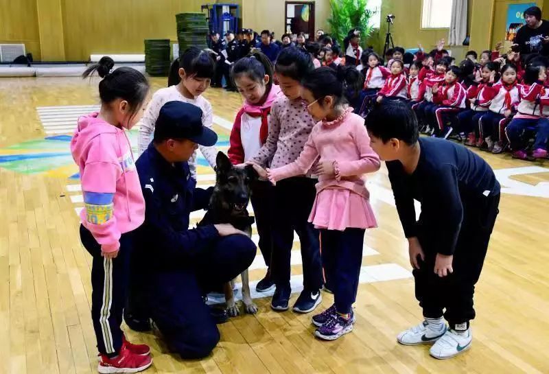 平安北京@摸摸它，不咬人~