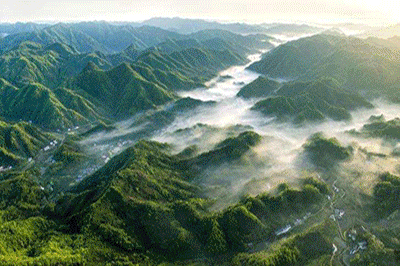 「中国侨网」有这些情形的外国人，不准入中国境