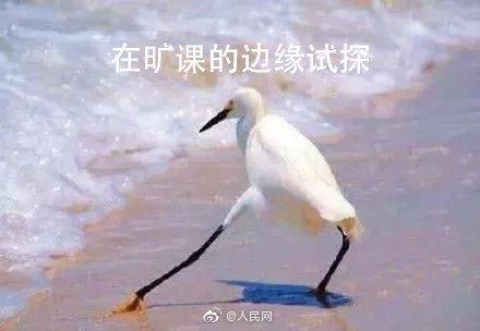 【光明网】高校辅导员推旷课罚集赞：警示其他学生