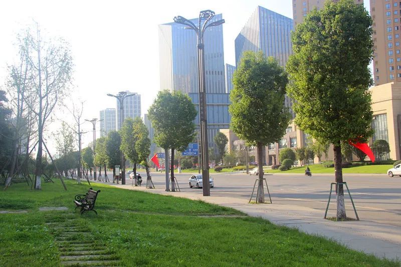 环保视线金牛区29条街道有多美你知道吗