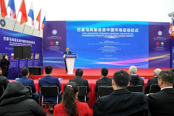 光明网■巴拿马凤梨首次登陆中国市场