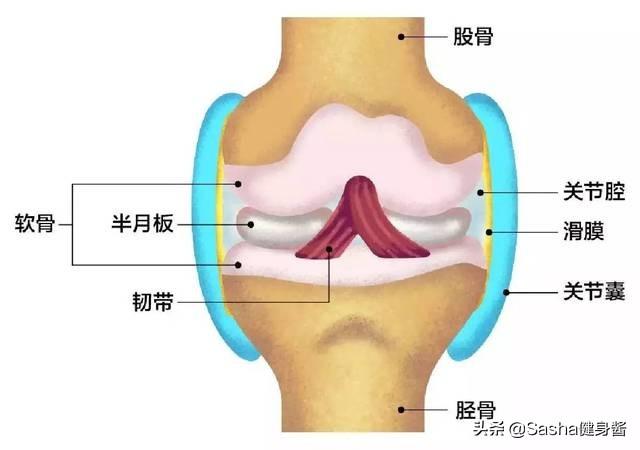 膝超伸不止会影响体态没你想的那么简单