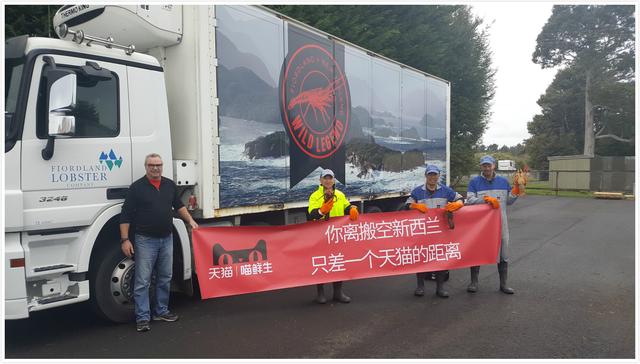 #环球网#比剁手党还要拼！20国调动“海陆空”三军给天猫双11送货