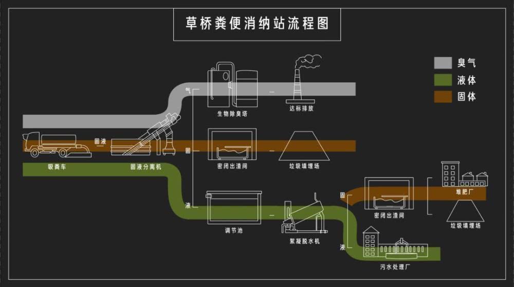 排便流程图图片