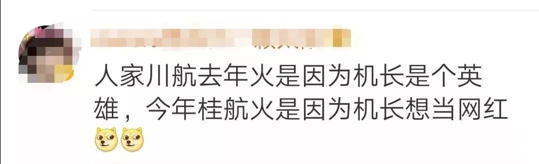 「湖北日报」实锤！终身停飞！