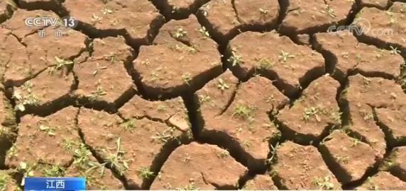 「中国经济网」南方多地旱情持续 1亿元水利救灾资金安排上了