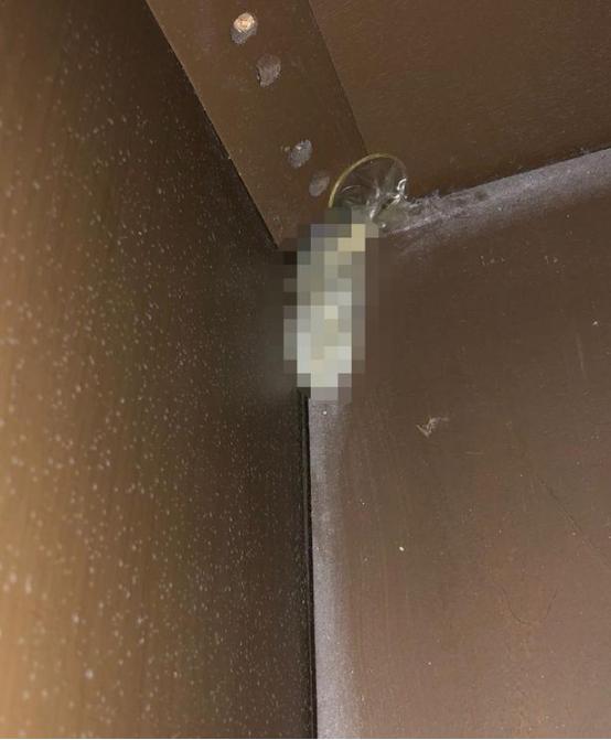 [环球网]死蟑螂、安全套……英国家庭在美国迪士尼度假，住酒店遇“煎熬”