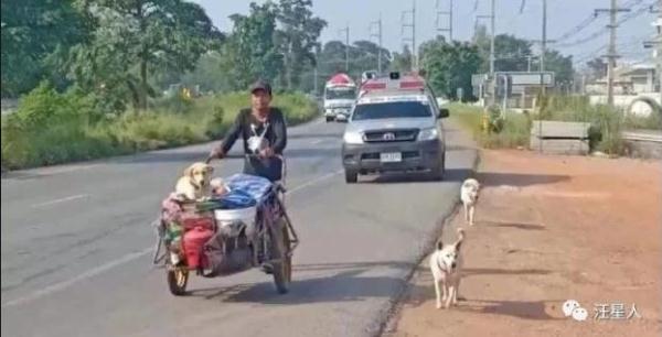 光明网@深情男子带着妻子骨灰，与三只狗一起为爱走天涯
