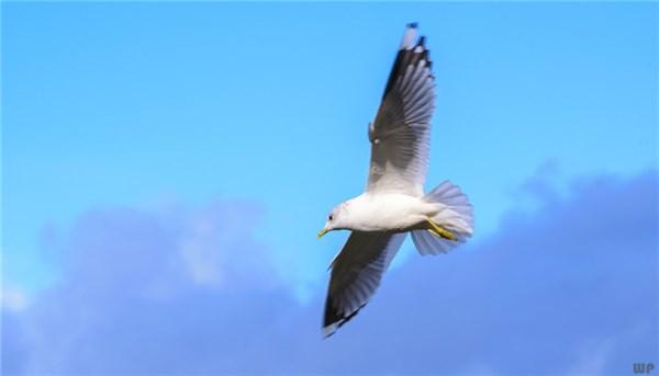 光明网■早安心语：人需要改变的，往往不是环境，而是自己的内心