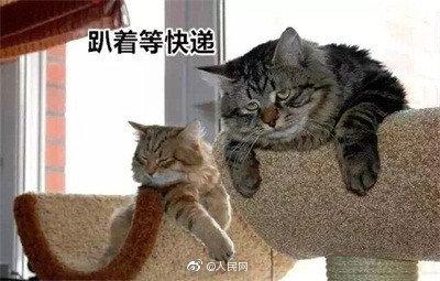 「光明网」双11高峰日均处理快递将达3.5亿件 你会贡献多少