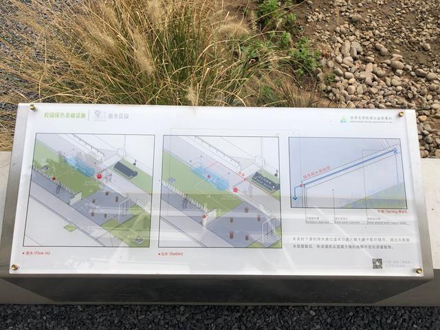 新京报：北京大学“雨水花园”改造计划，荒地变身休闲广场