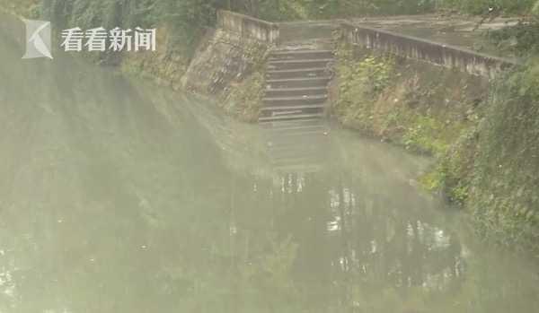 [中国经济网]男子不慎落水 女友奋不顾身跳水营救险些丧命