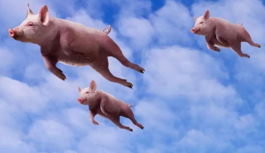 「侠客岛」【经济Ke】“裸泳”的罗永浩