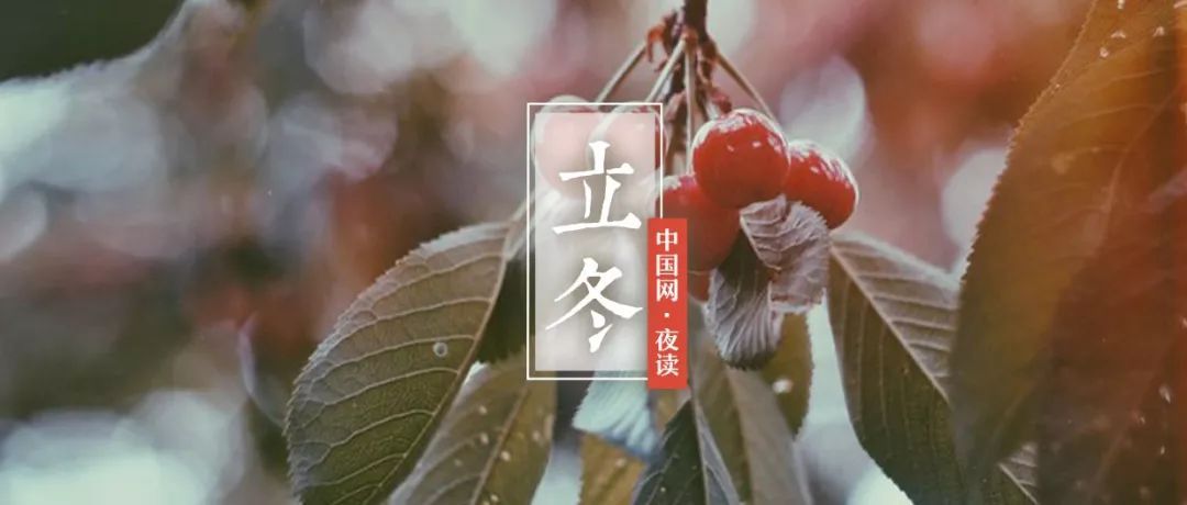 #中国网#夜读｜立冬：一年好景君须记