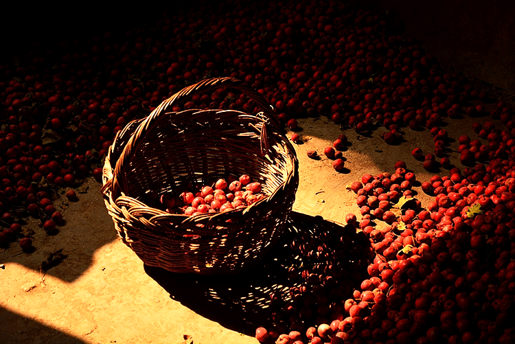 #中国网#夜读｜立冬：一年好景君须记