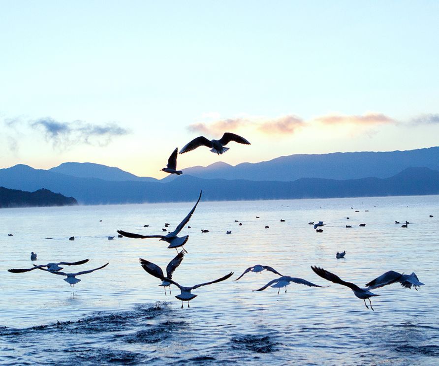 #中国网#夜读｜立冬：一年好景君须记