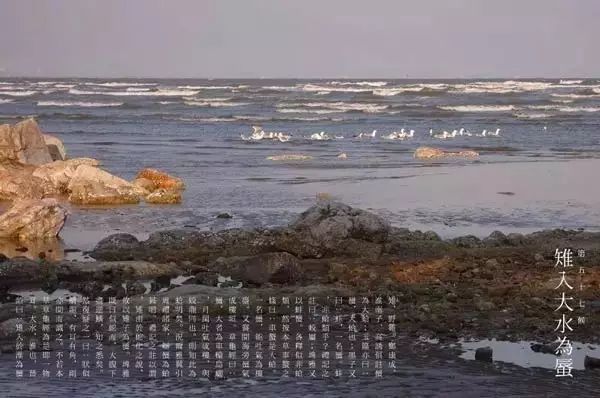 #中国网#夜读｜立冬：一年好景君须记