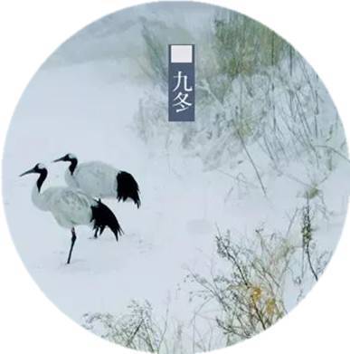 #中国网#夜读｜立冬：一年好景君须记