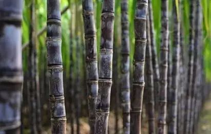 #中国网#夜读｜立冬：一年好景君须记