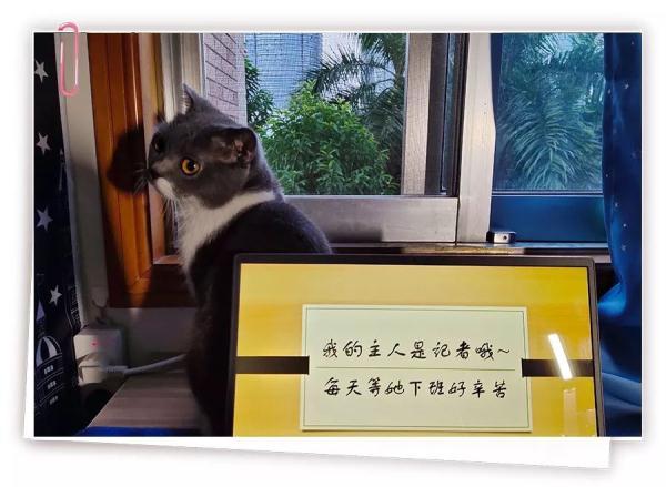 【光明网】谁敢跟程序员比发际线？记者：我啊