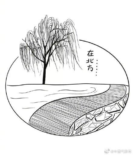 光明网@今日立冬，走，吃妈妈包的饺子去
