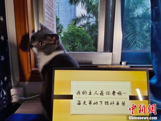 【中青在线】今天，我们把镜头对准他们