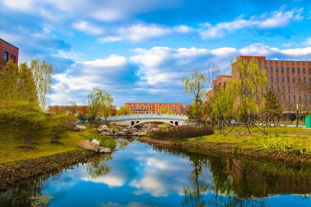 「中国青年网」来自北方的秋