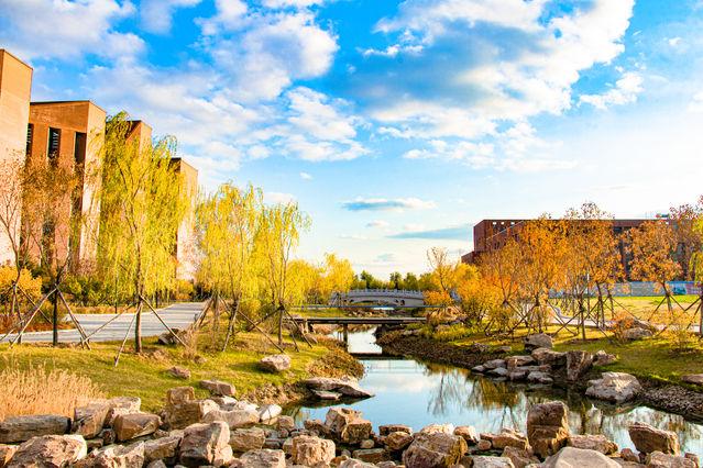 「中国青年网」来自北方的秋