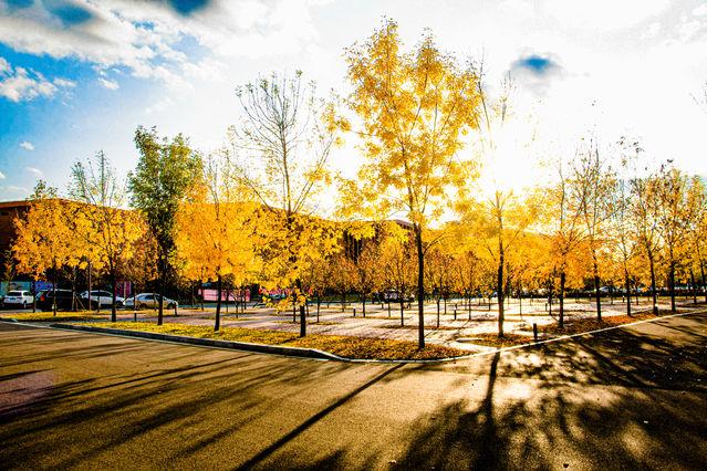 「中国青年网」来自北方的秋