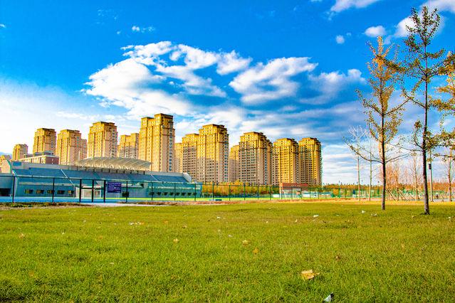 「中国青年网」来自北方的秋