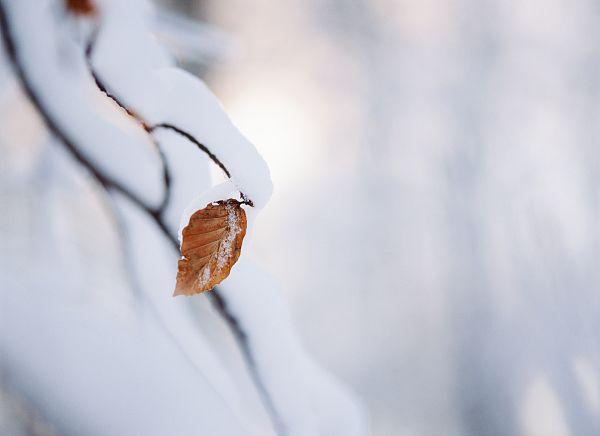 【环球网】雨！雪！“全能型”寒冷即将登场，双十一冷空气“买一送一”