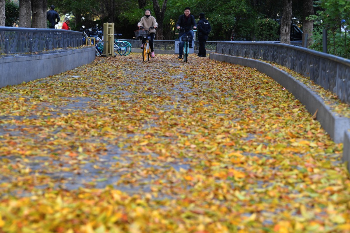[北京日报]风太大！今日北京市属公园游船停航 下周京城有望真正入冬