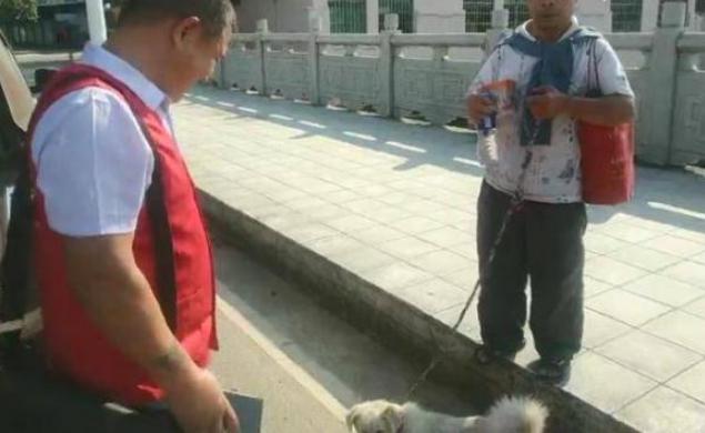 [光明网]男子嫌上班太累每日牵狗流浪街头15年，光狗就“熬”死3只