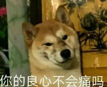 「光明网」心大！居民接连被偷4次却不报警 原因令人哭笑不得