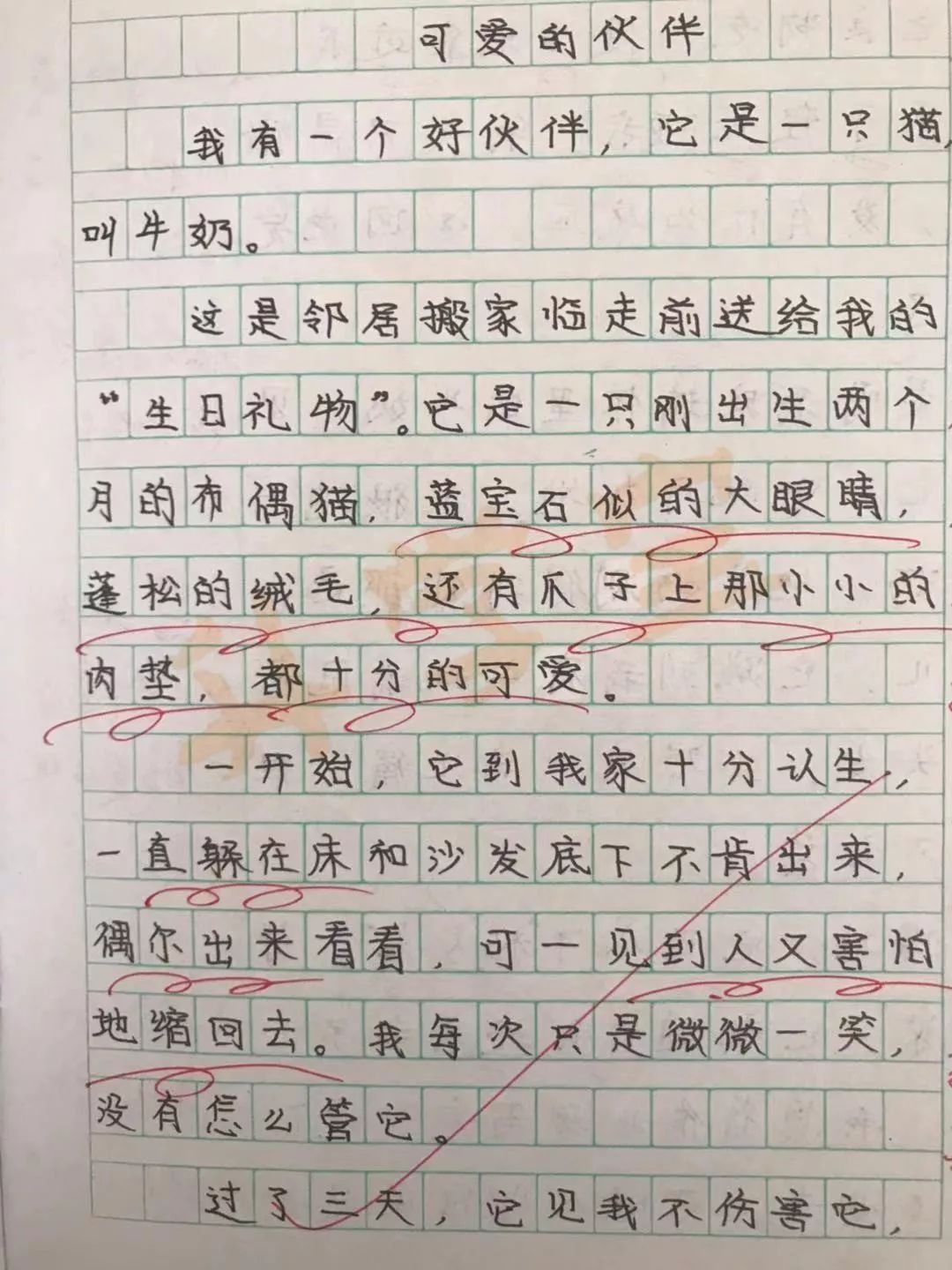 还会发现一个"神奇"之处 她学生的每一本作文本字迹都非常端正