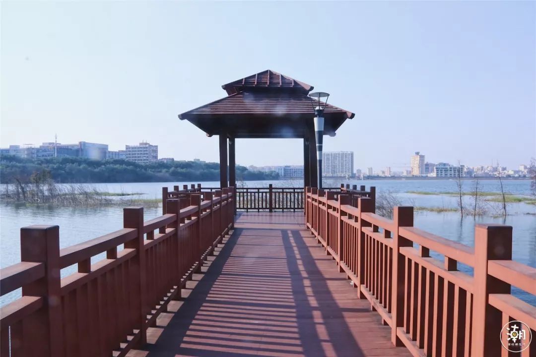 广州绿道长廊入口图片