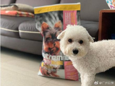 光明网：双11养宠购物清单出炉：猫粮破万吨，比奶粉受欢迎